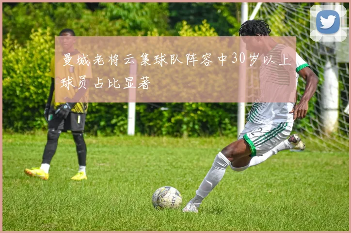 曼城老将云集球队阵容中30岁以上球员占比显著