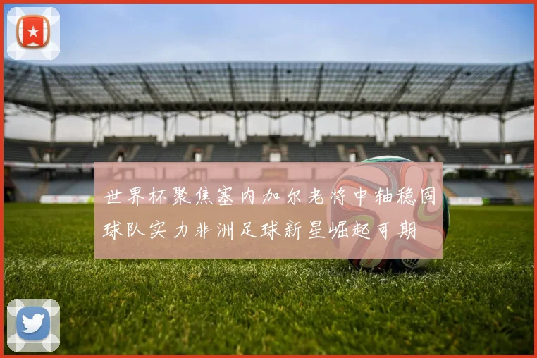 世界杯聚焦塞内加尔老将中轴稳固球队实力非洲足球新星崛起可期